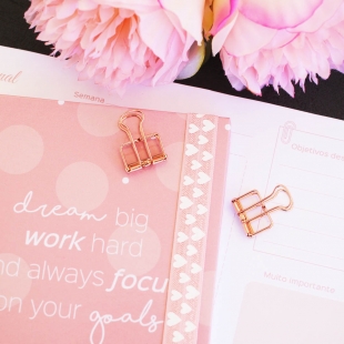 Clip mola "Style" - 2 unidades